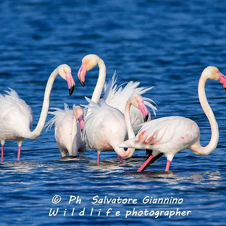 Ipanema 3* Margherita Di Savoia