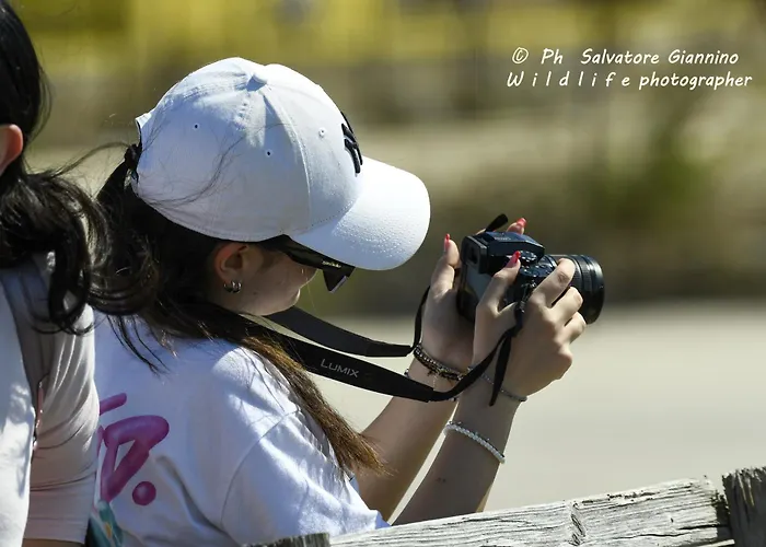 Ipanema Nocleg ze śniadaniem 3*