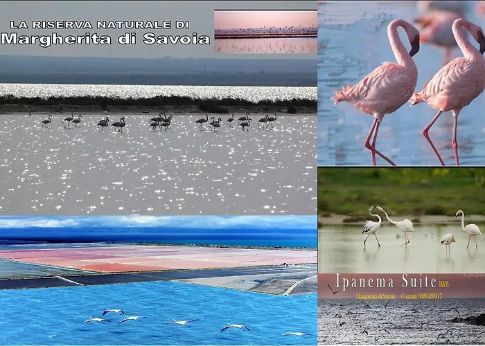 Ipanema 3* Маргерита-ди-Савойя