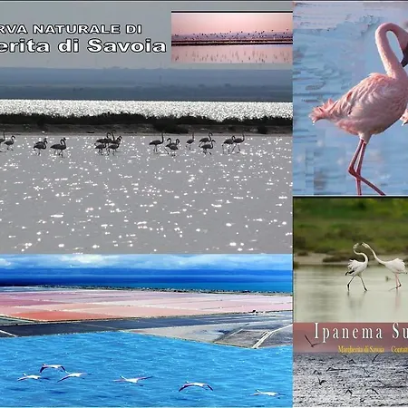 Ipanema 3* מרגריטה די סבויה