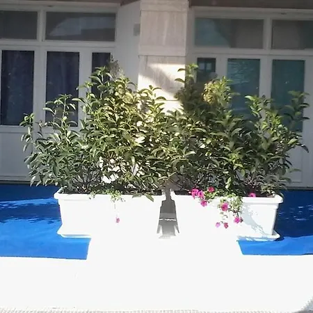 Ipanema מרגריטה די סבויה