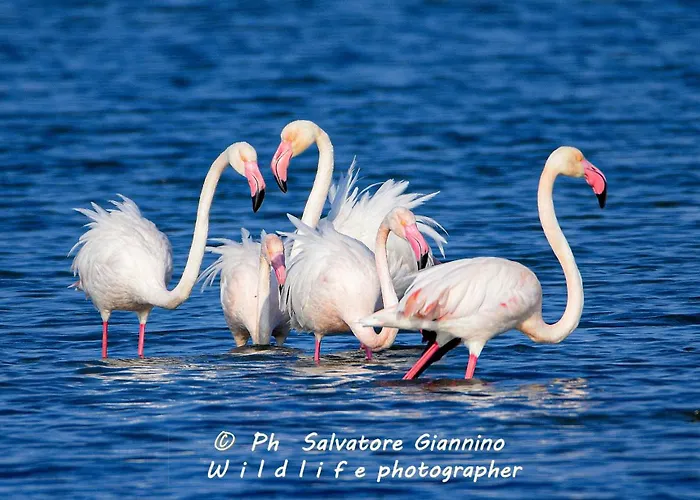Ipanema 3* Margherita Di Savoia